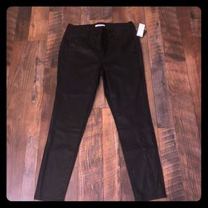 Signature Studio Pleather Pants